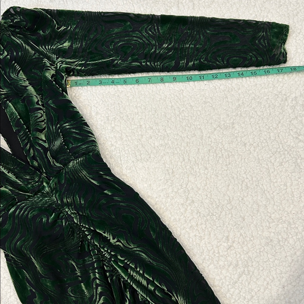 Ronny Kobo Astrid Dress size Small Burnout Velvet Green Black Silk Blend - Picture 14 of 16